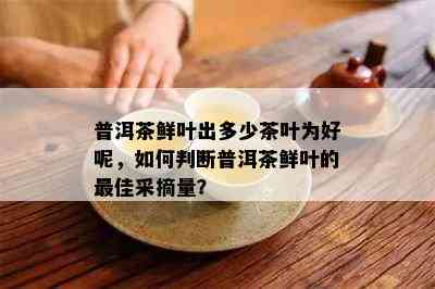 普洱茶鲜叶出多少茶叶为好呢，如何判断普洱茶鲜叶的更佳采摘量？