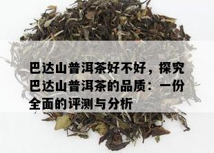 巴达山普洱茶好不好，探究巴达山普洱茶的品质：一份全面的评测与分析