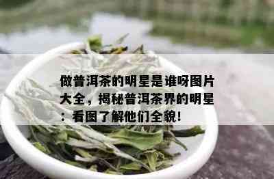 做普洱茶的明星是谁呀图片大全，揭秘普洱茶界的明星：看图了解他们全貌！