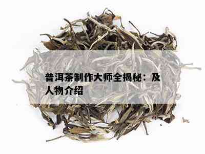 普洱茶制作大师全揭秘：及人物介绍