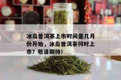 冰岛普洱茶上市时间是几月份开始，冰岛普洱茶何时上市？敬请期待！