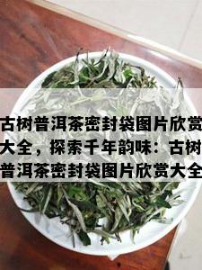 古树普洱茶密封袋图片欣赏大全，探索千年韵味：古树普洱茶密封袋图片欣赏大全