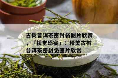 古树普洱茶密封袋图片欣赏，「视觉盛宴」：精美古树普洱茶密封袋图片欣赏