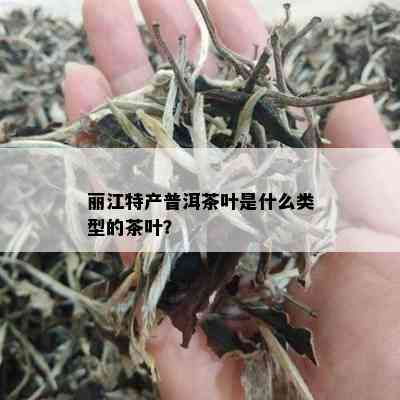 丽江特产普洱茶叶是什么类型的茶叶？