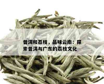 普洱和荔枝，品味云南：探索普洱与广东的荔枝文化