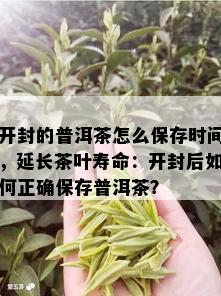 开封的普洱茶怎么保存时间，延长茶叶寿命：开封后如何正确保存普洱茶？