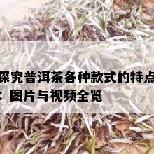 探究普洱茶各种款式的特点：图片与视频全览