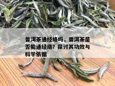 普洱茶通经络吗，普洱茶是否能通经络？探讨其功效与科学依据