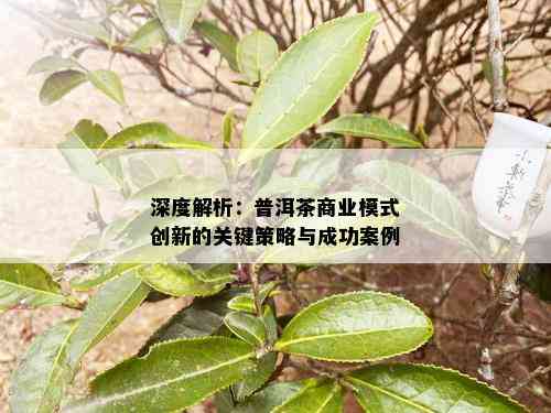 深度解析：普洱茶商业模式创新的关键策略与成功案例