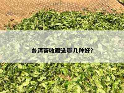 普洱茶收藏选哪几种好？