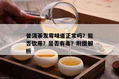 普洱茶发霉味道正常吗？能否饮用？是否有？附图解析