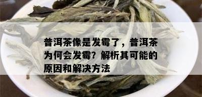 普洱茶像是发霉了，普洱茶为何会发霉？解析其可能的原因和解决方法