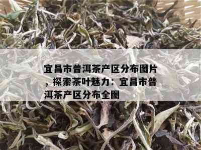 宜昌市普洱茶产区分布图片，探索茶叶魅力：宜昌市普洱茶产区分布全图