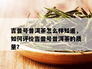 吉普号普洱茶怎么样知道，如何评价吉普号普洱茶的质量？