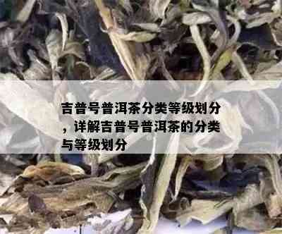 吉普号普洱茶分类等级划分，详解吉普号普洱茶的分类与等级划分