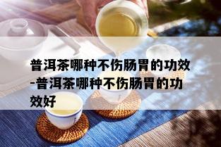 普洱茶哪种不伤肠胃的功效-普洱茶哪种不伤肠胃的功效好