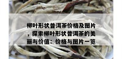 柳叶形状普洱茶价格及图片，探索柳叶形状普洱茶的美丽与价值：价格与图片一览