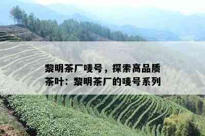 黎明茶厂唛号，探索高品质茶叶：黎明茶厂的唛号系列