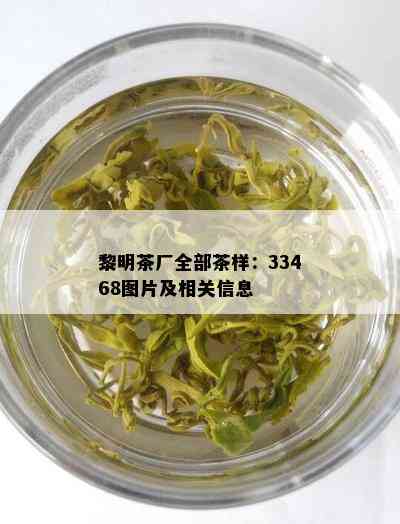 黎明茶厂全部茶样：33468图片及相关信息