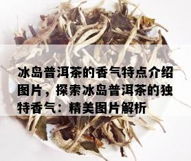 冰岛普洱茶的香气特点介绍图片，探索冰岛普洱茶的独特香气：精美图片解析