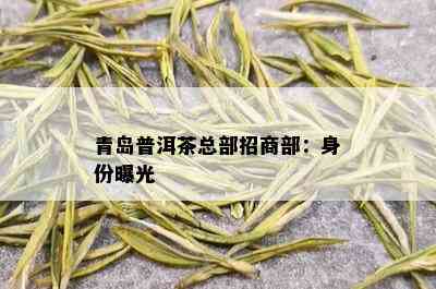 青岛普洱茶总部招商部：身份曝光