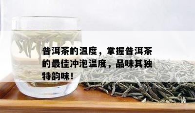 普洱茶的温度，掌握普洱茶的更佳冲泡温度，品味其独特韵味！