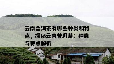 云南普洱茶有哪些种类和特点，探秘云南普洱茶：种类与特点解析