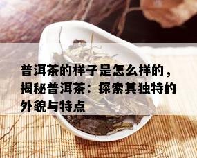 普洱茶的样子是怎么样的，揭秘普洱茶：探索其独特的外貌与特点