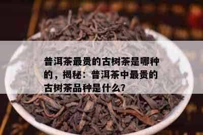 普洱茶最贵的古树茶是哪种的，揭秘：普洱茶中最贵的古树茶品种是什么？