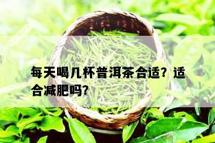 每天喝几杯普洱茶合适？适合减肥吗？