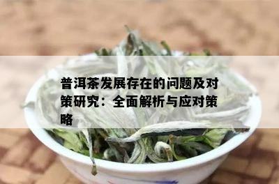 普洱茶发展存在的问题及对策研究：全面解析与应对策略