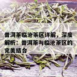 普洱茶临沧茶区详解，深度解析：普洱茶与临沧茶区的完美结合