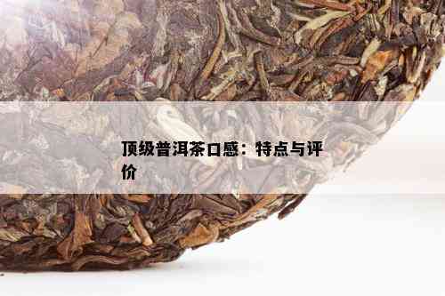 顶级普洱茶口感：特点与评价