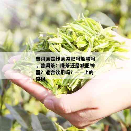 普洱茶是绿茶减肥吗能喝吗，普洱茶：绿茶还是减肥神器？适合饮用吗？——上的探讨