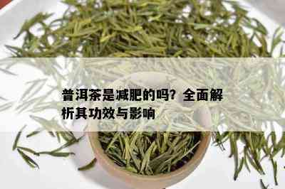 普洱茶是减肥的吗？全面解析其功效与影响