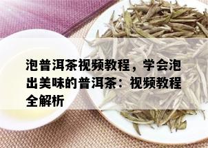 泡普洱茶视频教程，学会泡出美味的普洱茶：视频教程全解析