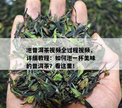 泡普洱茶视频全过程视频，详细教程：如何泡一杯美味的普洱茶？看这里！