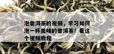 泡普洱茶的视频，学习如何泡一杯美味的普洱茶！看这个视频教程