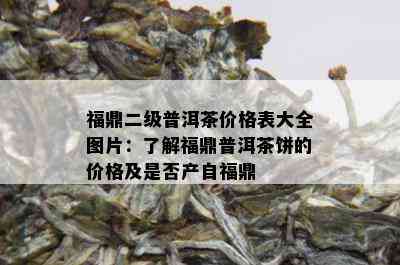 福鼎二级普洱茶价格表大全图片：了解福鼎普洱茶饼的价格及是否产自福鼎