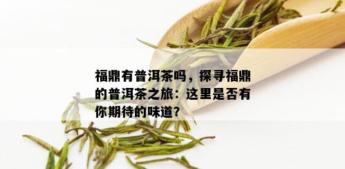 福鼎有普洱茶吗，探寻福鼎的普洱茶之旅：这里是否有你期待的味道？