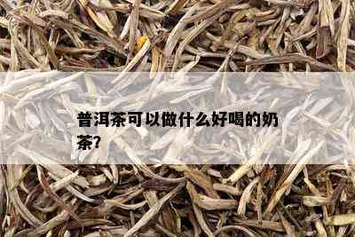 普洱茶可以做什么好喝的奶茶？