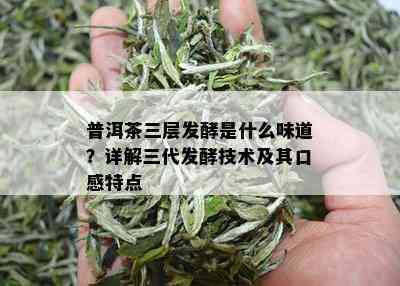 普洱茶三层发酵是什么味道？详解三代发酵技术及其口感特点