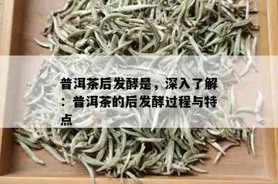 普洱茶后发酵是，深入了解：普洱茶的后发酵过程与特点