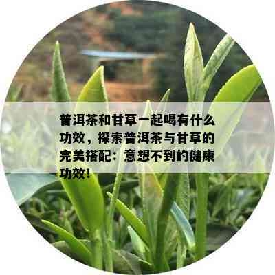 普洱茶和甘草一起喝有什么功效，探索普洱茶与甘草的完美搭配：意想不到的健康功效！