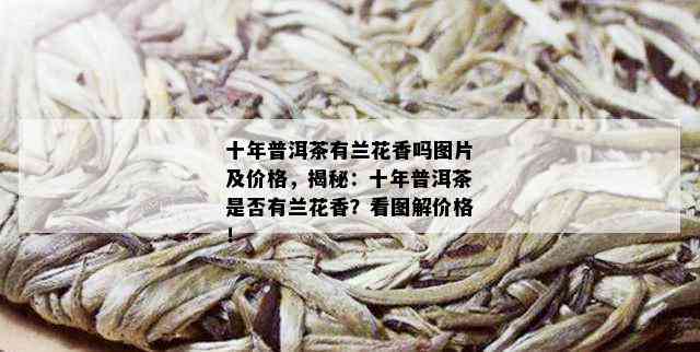 十年普洱茶有兰花香吗图片及价格，揭秘：十年普洱茶是否有兰花香？看图解价格！