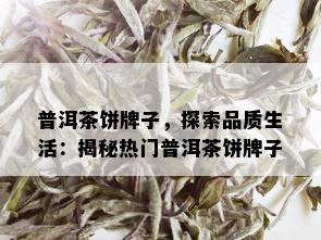 普洱茶饼牌子，探索品质生活：揭秘热门普洱茶饼牌子