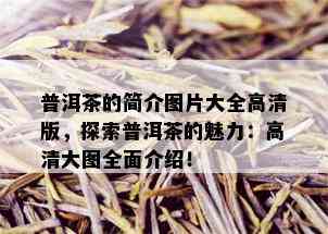 普洱茶的简介图片大全高清版，探索普洱茶的魅力：高清大图全面介绍！