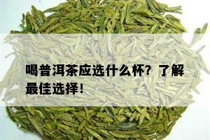 喝普洱茶应选什么杯？了解更佳选择！