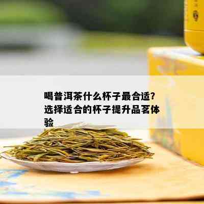 喝普洱茶什么杯子最合适？选择适合的杯子提升品茗体验