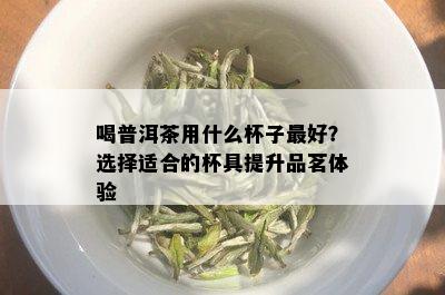 喝普洱茶用什么杯子更好？选择适合的杯具提升品茗体验